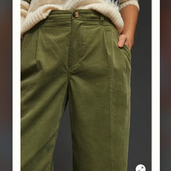 Anthropologie Pleated Wide-Leg Corduroy Trousers - Picture 4 of 15